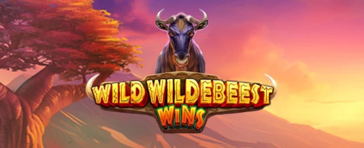 Wild Wildebeest Wins